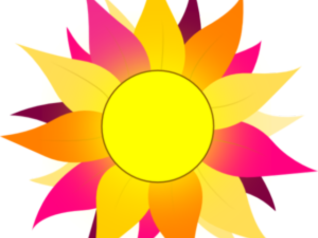 Sunflower Clipart Colorful - Sun With Pink & Purple Rays Mugs - Free Transparent PNG Clipart Images Download. - Sun Transparent PNG Free Download