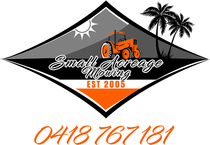 Acreage Mowing Sunshine Coast - Orlando Souvenir Tshirt Gift Palm Tree Sun Florida - Free Transparent PNG Clipart Images Download. - Sun Transparent PNG Free Download