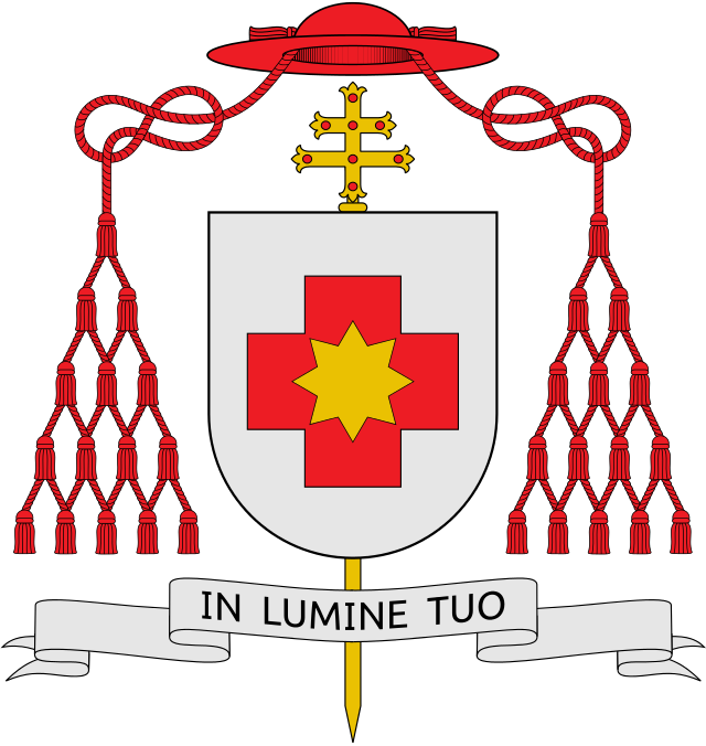 Pope Francis Names Cardinal From Portugal & Massive - Pope Francis Names Cardinal From Portugal & Massive - Free Transparent PNG Clipart Images Download. - Sun Transparent PNG Free Download