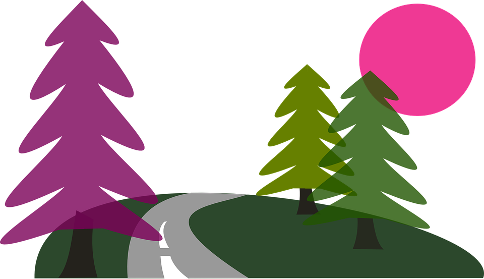 Sun Road Trees Travel Pine Conifers Path S - Cooles Landstraßen-willkommen Zur Postkarte - Free Transparent PNG Clipart Images Download. - Sun Transparent PNG Free Download