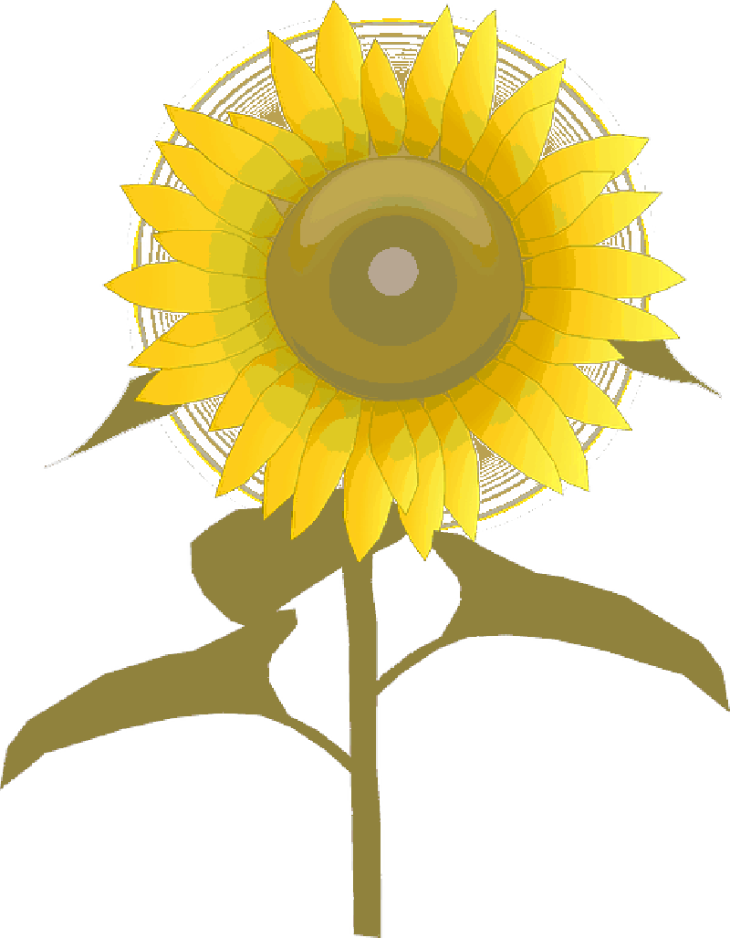 Plants Clipart Cute - Free Sunflower Clipart Transparent Background - Free Transparent PNG Clipart Images Download. - Sun Transparent PNG Free Download