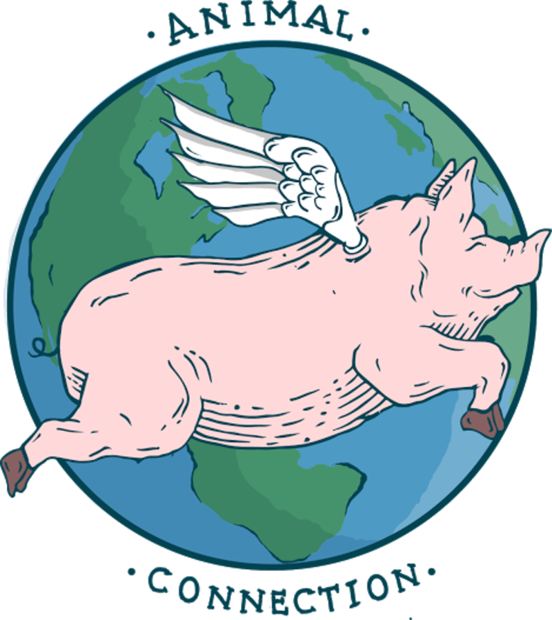 Buy Tickets For Tamerlaine Sanctuary Bus Trip At Tamerlaine - Buy Tickets For Tamerlaine Sanctuary Bus Trip At Tamerlaine - Free Transparent PNG Clipart Images Download. - Sun Transparent PNG Free Download