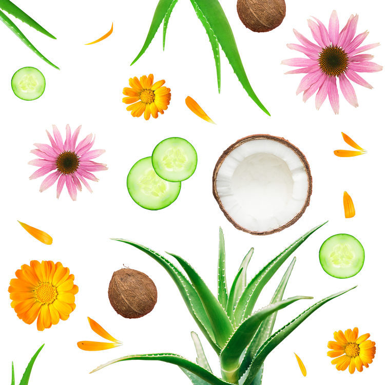 Superfood For Sun-kissed Skin - Superfood For Sun-kissed Skin - Free Transparent PNG Clipart Images Download. - Sun Transparent PNG Free Download