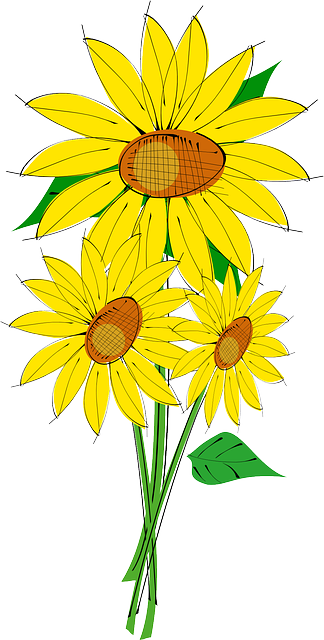 Plants, Sun, Flower, Flowers, Cartoon, Border, Free - Sunflower Clip Art - Free Transparent PNG Clipart Images Download. - Sun Transparent PNG Free Download