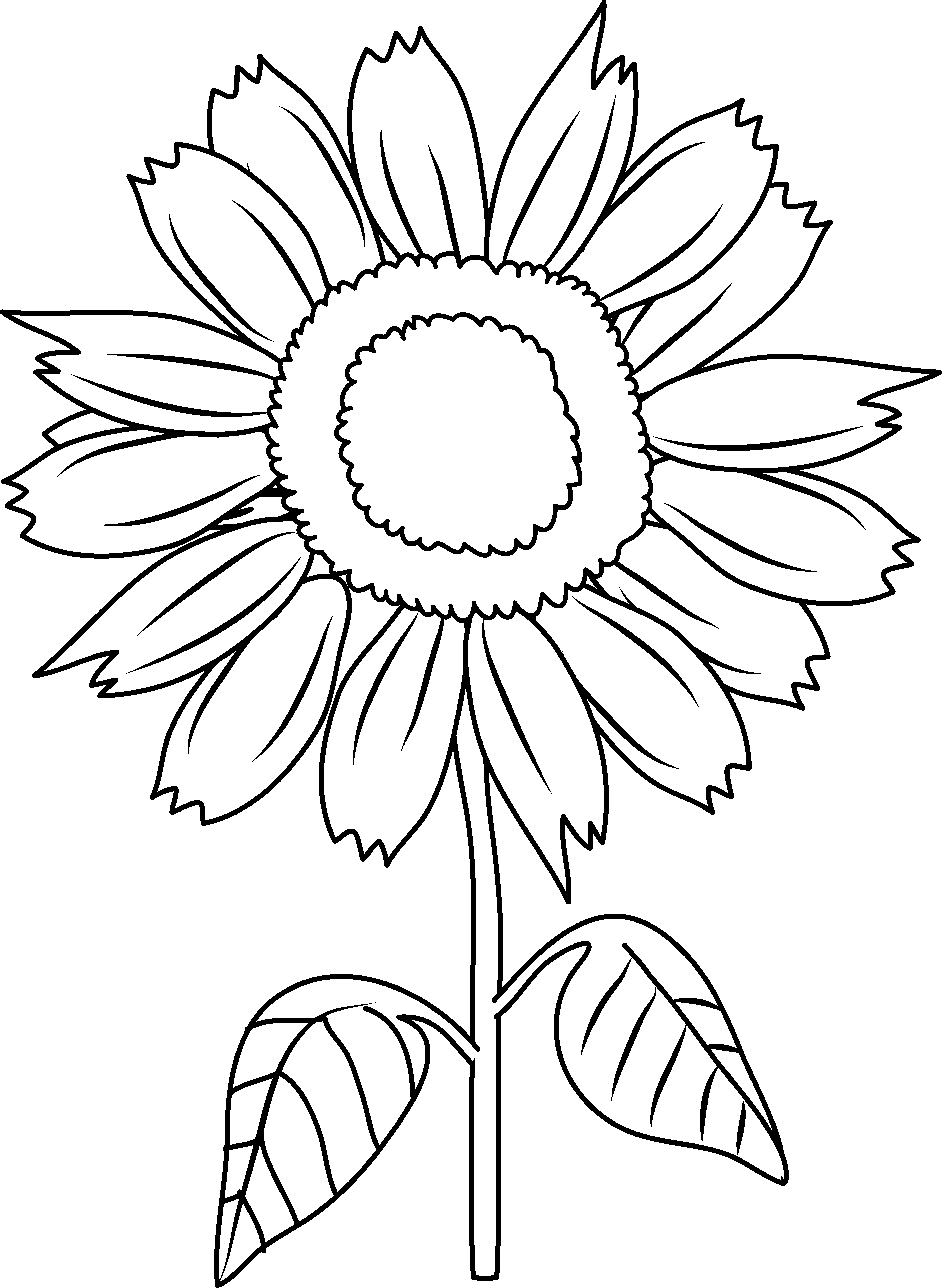 Pretty Sunflower Coloring Page - Sun Flower In Cartoon - Free Transparent PNG Clipart Images Download. - Sun Transparent PNG Free Download