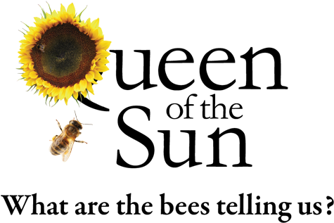 Queen Of The Sun Logo - Beerologistdark.png Ornament (round) Transparent PNG - 500x327 - Free Download on - Sun Transparent PNG Free Download