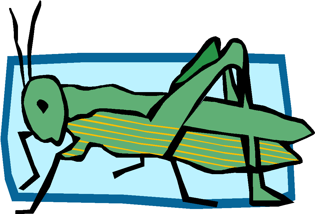 The Transfer Of Energy From The Sun To Producer To - Primary Consumer Clipart Transparent PNG - 1069x725 - Free Download on - Sun Transparent PNG Free Download