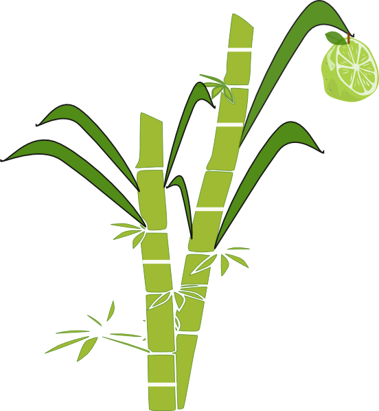 Free Sun Line Art, Download Free Clip Art, Free Clip - Sugar Cane Clipart - Free Transparent PNG Clipart Images Download. - Sun Transparent PNG Free Download