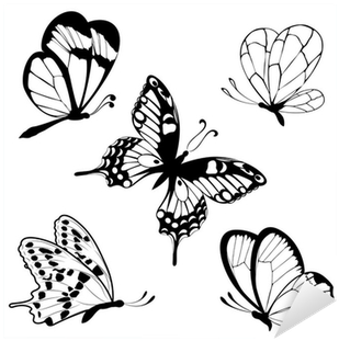 Set Black White Butterflies Of A Tattoo Sticker • Pixers® - Gear New Set Black White Butterflies Of Tattoo Bath - Free Transparent PNG Clipart Images Download. - Tattoo Transparent PNG Free Download