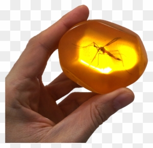 Amber Fx Tattoo Download - Mosquito Trapped In Amber - Free Transparent PNG Clipart Images Download. - Tattoo Transparent PNG Free Download