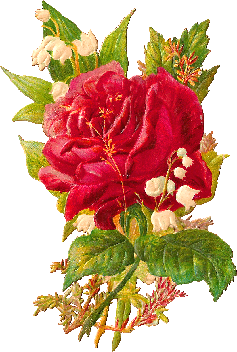 This Is A Very Pretty Victorian Scrap Of Large Red - Rose And Lily Of The Valley Tattoo - Free Transparent PNG Clipart Images Download. - Tattoo Transparent PNG Free Download