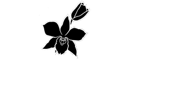 Twin Orchid Tattoo By Shanti Cameron - Graphic Design Transparent PNG - 420x363 - Free Download on - Tattoo Transparent PNG Free Download