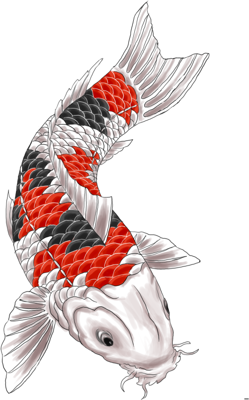 Koi Tattoo Design By Gaikotsu91 On Deviantart - Koi Carp Tattoo - Free Transparent PNG Clipart Images Download. - Tattoo Transparent PNG Free Download