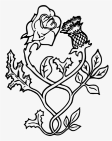 Black Outline Thistle With Rose Tattoo Stencil - Rose And Thistle Vector, HD Png Download - Tattoo Transparent PNG Free Download
