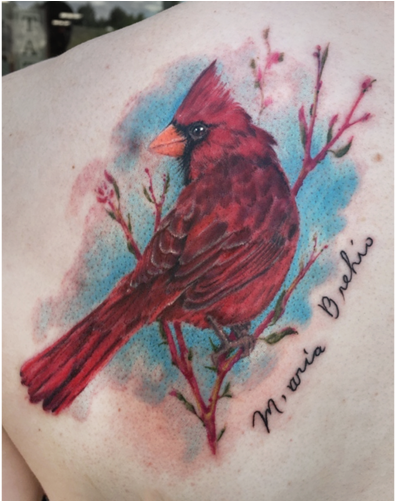 Rebeka Maine Tattoo Artist Cardinal Transparent PNG - 1000x500 - Free Download on - Tattoo Transparent PNG Free Download