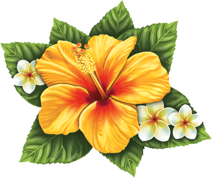 Porc Hf56 10"x9" Single Hibiscus Flower Yellow Porcelain - Yellow Hibiscus Tattoo - Free Transparent PNG Clipart Images Download. - Tattoo Transparent PNG Free Download