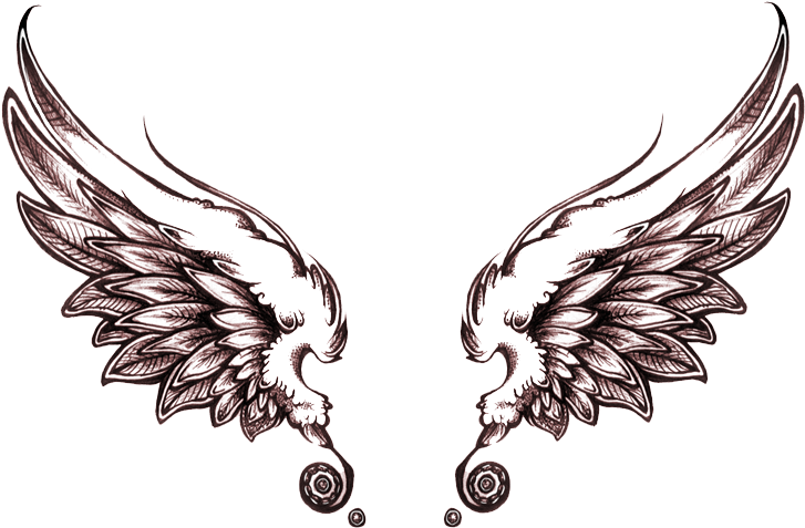 Angel Tattoos Png Transparent Images - Angel Wings Tattoo Drawing - Free Transparent PNG Clipart Images Download. - Tattoo Transparent PNG Free Download
