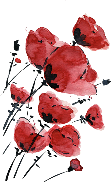 Valentine Sale Poppies Field On A Windy Day Original - Watercolor Poppy Tattoo Design - Free Transparent PNG Clipart Images Download. - Tattoo Transparent PNG Free Download