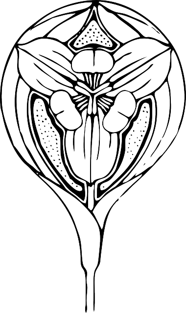 Outline, Design, Tulips, Flower, Plant, Tulip, Tattoo - Flor Art Deco Transparent PNG - 380x640 - Free Download on - Tattoo Transparent PNG Free Download