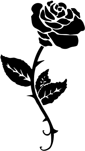 Black Rose Tattoo Png - Beauty And The Beast Rose Stencil - Free Transparent PNG Clipart Images Download. - Tattoo Transparent PNG Free Download