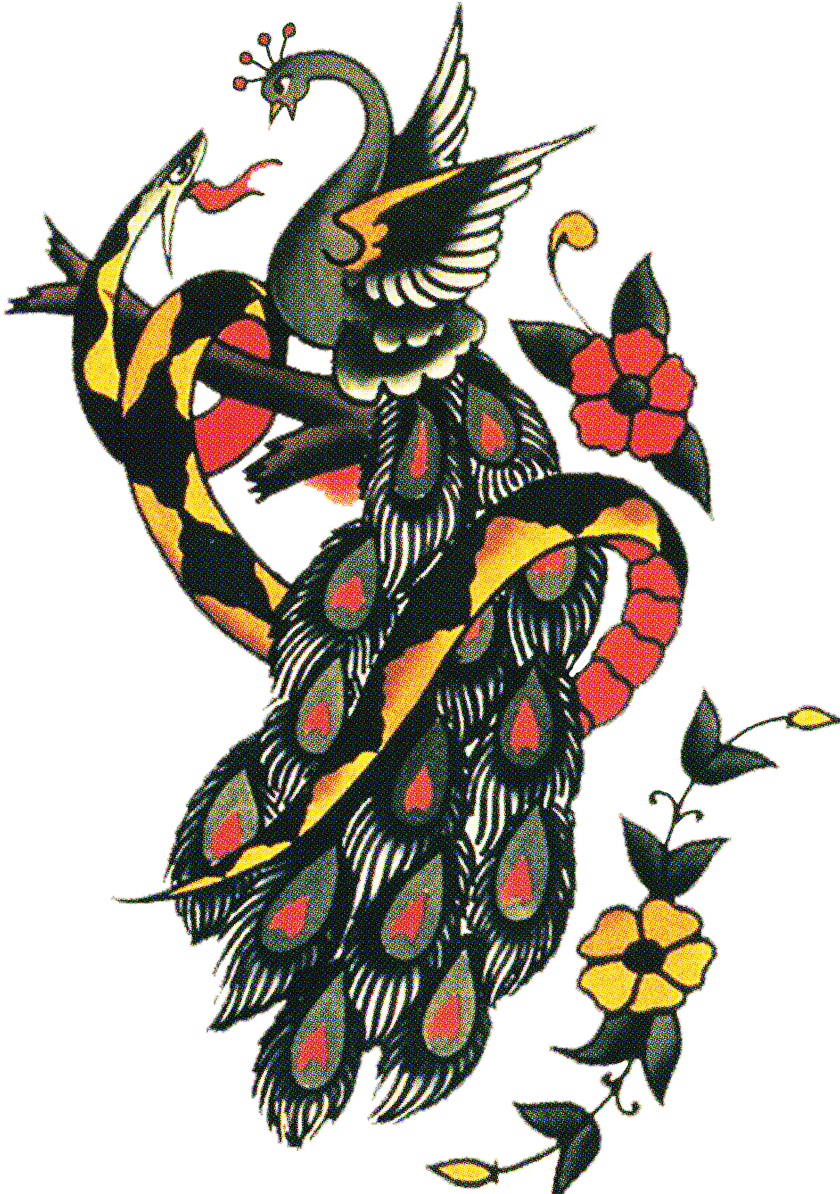 Don't Love The Snake But I Do Like The Alternative - Sailor Jerry Flower Tattoo - Free Transparent PNG Clipart Images Download. - Tattoo Transparent PNG Free Download