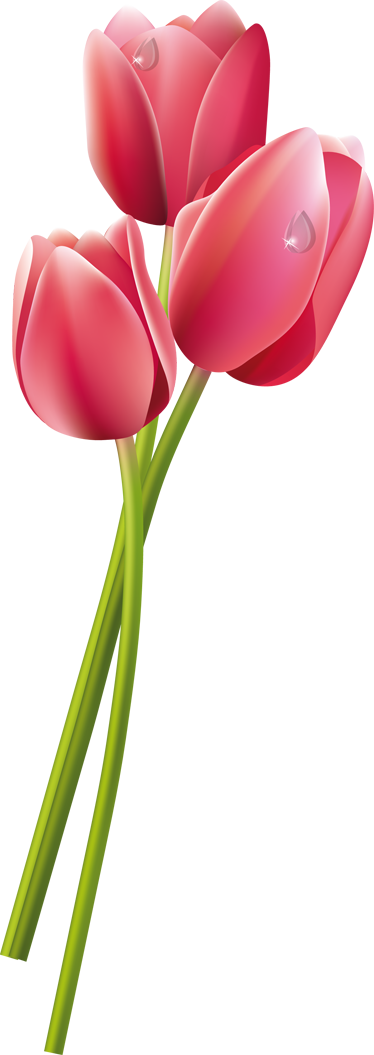 Wet Tulips Shower Sticker - Tulip And Fern Tattoos - Free Transparent PNG Clipart Images Download. - Tattoo Transparent PNG Free Download