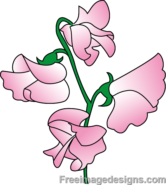 Sweetpea Flowers Image Design Download Free Image Tattoo - Sweet Pea Flower Design - Free Transparent PNG Clipart Images Download. - Tattoo Transparent PNG Free Download
