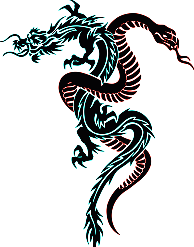 Dragon And Snake Tattoo By Djakal12 On Deviantart - Dragon And Snake Tattoo - Free Transparent PNG Clipart Images Download. - Tattoo Transparent PNG Free Download