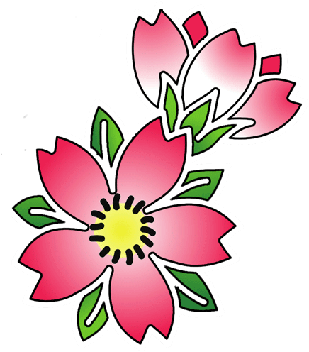 Cherry Blossom Tattoos High Quality Photos And Flash - Cherry Blossom Flower Tattoo Outline - Free Transparent PNG Clipart Images Download. - Tattoo Transparent PNG Free Download