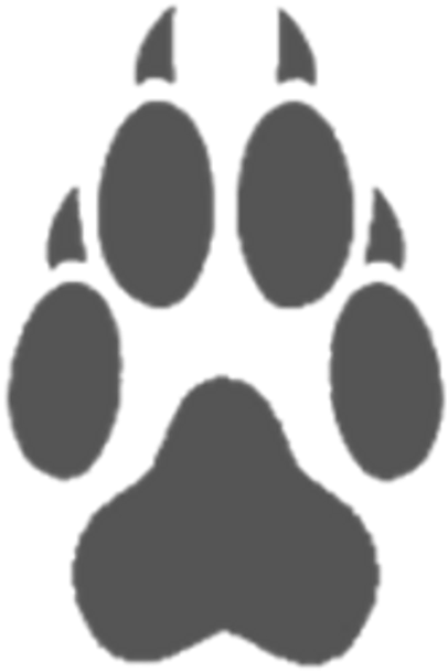 Paw Graypaw Wolfpaw Freetoedit - Wolf Paw Tattoo Small Transparent PNG - 1024x1024 - Free Download on - Tattoo Transparent PNG Free Download