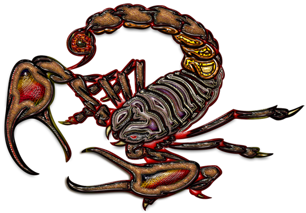 Roman Army Symbols Tattoo Scorpion Symbolism Always - Scorpion 3d Png Transparent PNG - 600x419 - Free Download on - Tattoo Transparent PNG Free Download