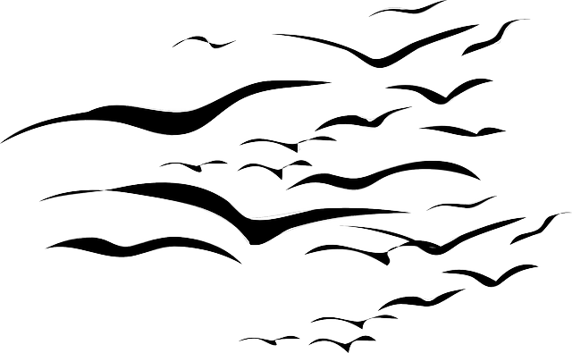 Flock Of Birds Clipart - Flock Of Birds Tattoo - Free Transparent PNG Clipart Images Download. - Tattoo Transparent PNG Free Download