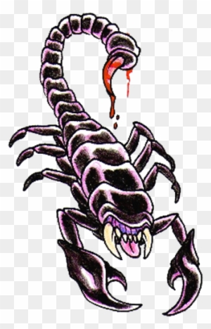 Scorpion Tattoos Png Clipart - Scorpion Tattoo Designs - Free Transparent PNG Clipart Images Download. - Tattoo Transparent PNG Free Download