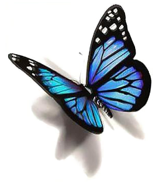 Blue Butterfly Png Photo - Butterfly Tattoo Design - Free Transparent PNG Clipart Images Download. - Tattoo Transparent PNG Free Download