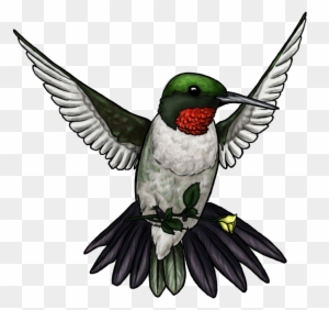 "цветные Татуировки Птиц" Collection Of User Алексей - Free Picture Of Tattoos - Free Transparent PNG Clipart Images Download. - Tattoo Transparent PNG Free Download