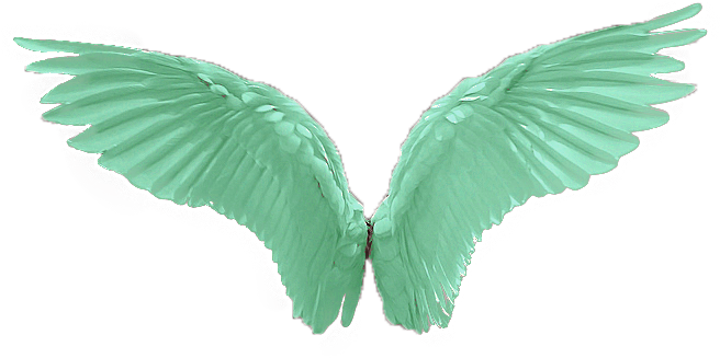 Lucifer Wings, Png Icons, Angel Wings Png, Rune Tattoo, - Raven Tattoo Designs Transparent PNG - 800x400 - Free Download on - Tattoo Transparent PNG Free Download