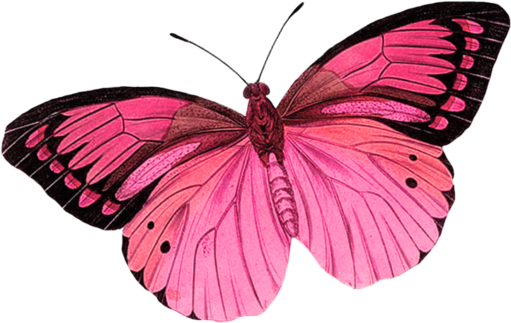 Butterfly Clipart Photo By - Purple Butterfly Tattoo Designs - Free Transparent PNG Clipart Images Download. - Tattoo Transparent PNG Free Download