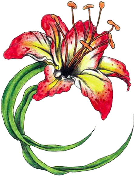Tropical Flower Tattoos - Flower Tattoo Png Transparent - Free Transparent PNG Clipart Images Download. - Tattoo Transparent PNG Free Download