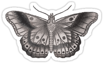 Harry Styles' Butterfly Tattoo By Bohemianmermaid - Tatuajes De Harry Styles Transparent PNG - 375x360 - Free Download on - Tattoo Transparent PNG Free Download