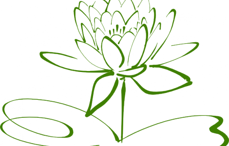 Small Lotus Flower Outline Tattoo - Drawing Black And White Flower Clip Art - Free Transparent PNG Clipart Images Download. - Tattoo Transparent PNG Free Download