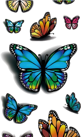 Butterfly Tattoo Designs Png Transparent Images - Tafly 3d Colourful Butterfly Body Art Temporary Tattoos Transparent PNG - 640x480 - Free Download on - Tattoo Transparent PNG Free Download