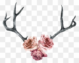 Rose Roses Antler Boho Pink Flowers - Deer Antler Tattoo With Flowers - Free Transparent PNG Clipart Images Download. - Tattoo Transparent PNG Free Download