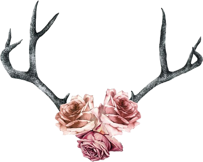 Rose Roses Antler Boho Pink Flowers - Deer Antler Tattoo With Flowers - Free Transparent PNG Clipart Images Download. - Tattoo Transparent PNG Free Download
