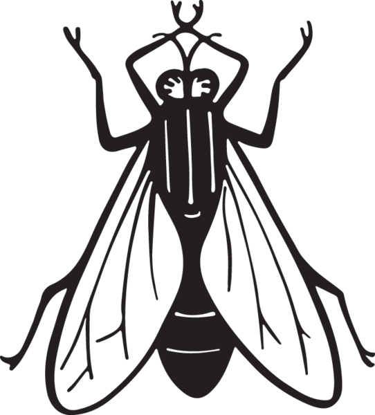 Fly Clipart Insect - Art Print: Pop Ink - Csa Images' Housefly, 12x12in. - Free Transparent PNG Clipart Images Download. - Tattoo Transparent PNG Free Download