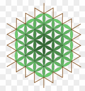 Hammock Hangout - Color Flower Of Life Tattoo - Free Transparent PNG Clipart Images Download. - Tattoo Transparent PNG Free Download