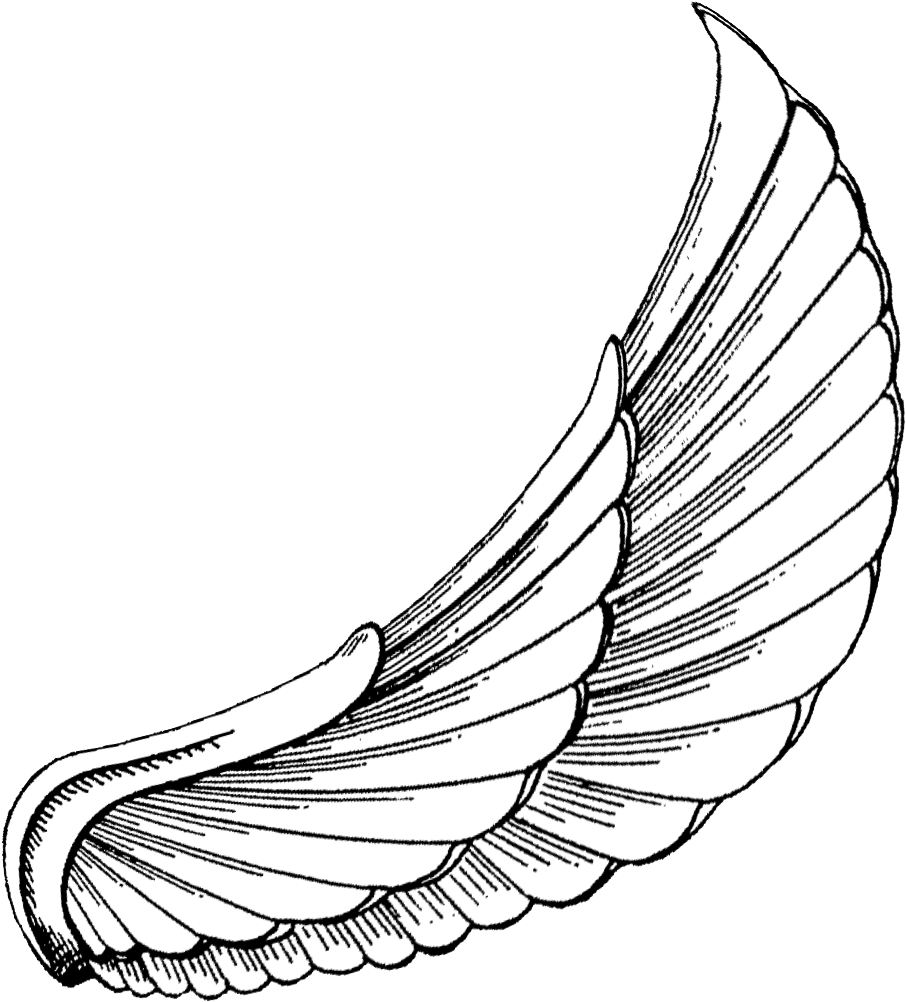 Vector Royalty Free Download To Download Click On - Egyptian Wings Tattoo Designs - Free Transparent PNG Clipart Images Download. - Tattoo Transparent PNG Free Download