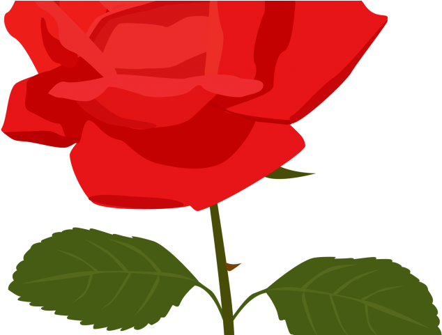 Rose Tattoo Clipart Rose Clip Art - Rose Clipart No Background - Free Transparent PNG Clipart Images Download. - Tattoo Transparent PNG Free Download
