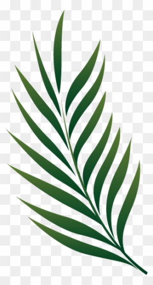 Palm Branch Image Free Cliparts That You Can Download - Tropical Leaves Illustration Png - Free Transparent PNG Clipart Images Download. - Tattoo Transparent PNG Free Download