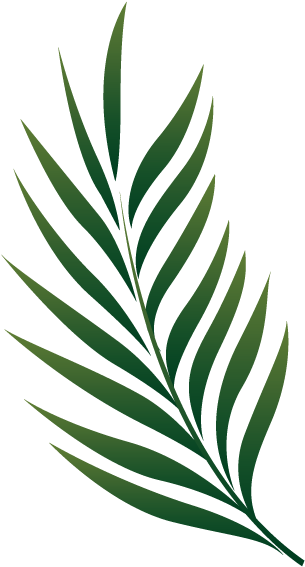 Palm Branch Image Free Cliparts That You Can Download - Tropical Leaves Illustration Png - Free Transparent PNG Clipart Images Download. - Tattoo Transparent PNG Free Download