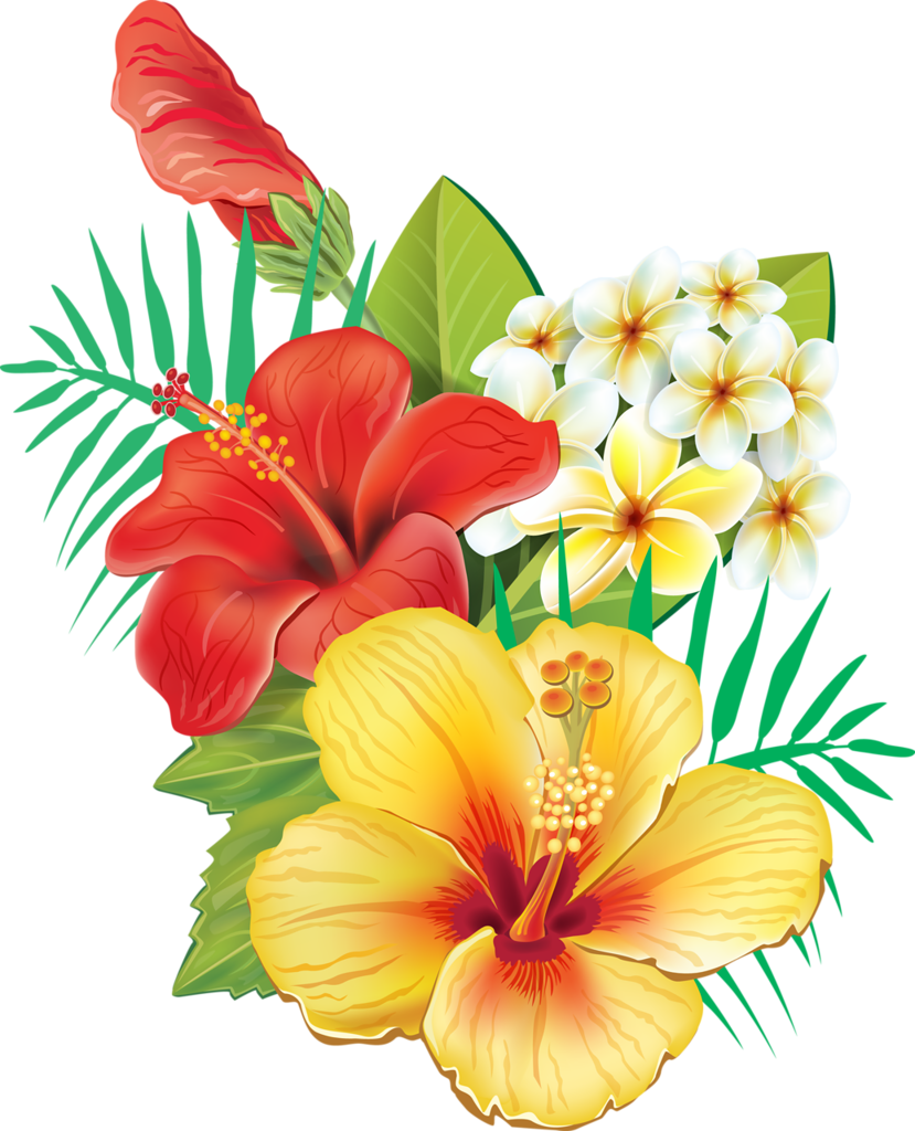 Tropical Hawaiian Flowers, Hibiscus Flowers, Tropical - Tropical Hawaiian Flowers, Hibiscus Flowers, Tropical - Free Transparent PNG Clipart Images Download. - Tattoo Transparent PNG Free Download